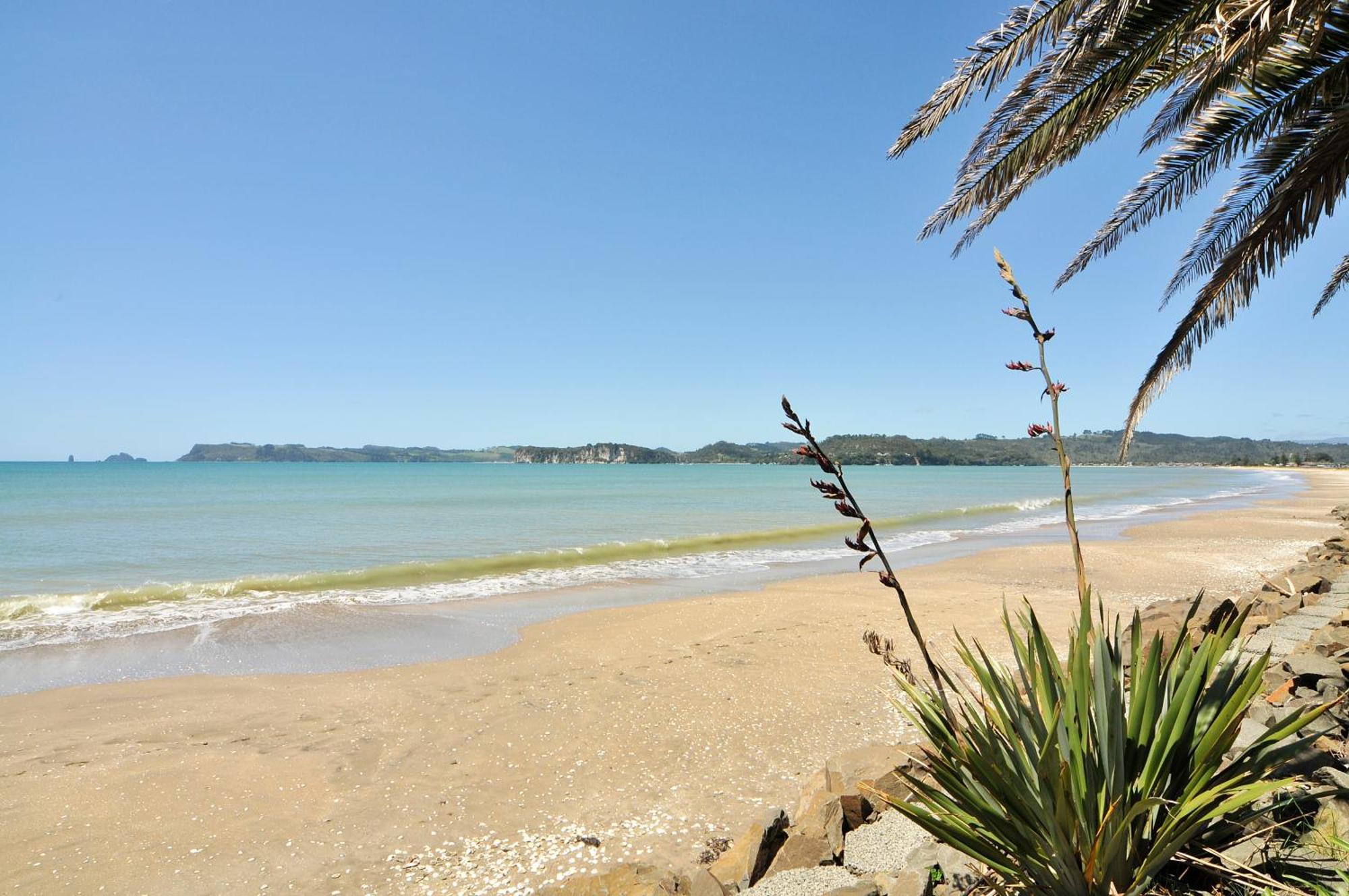 Whitianga Campground Kültér fotó