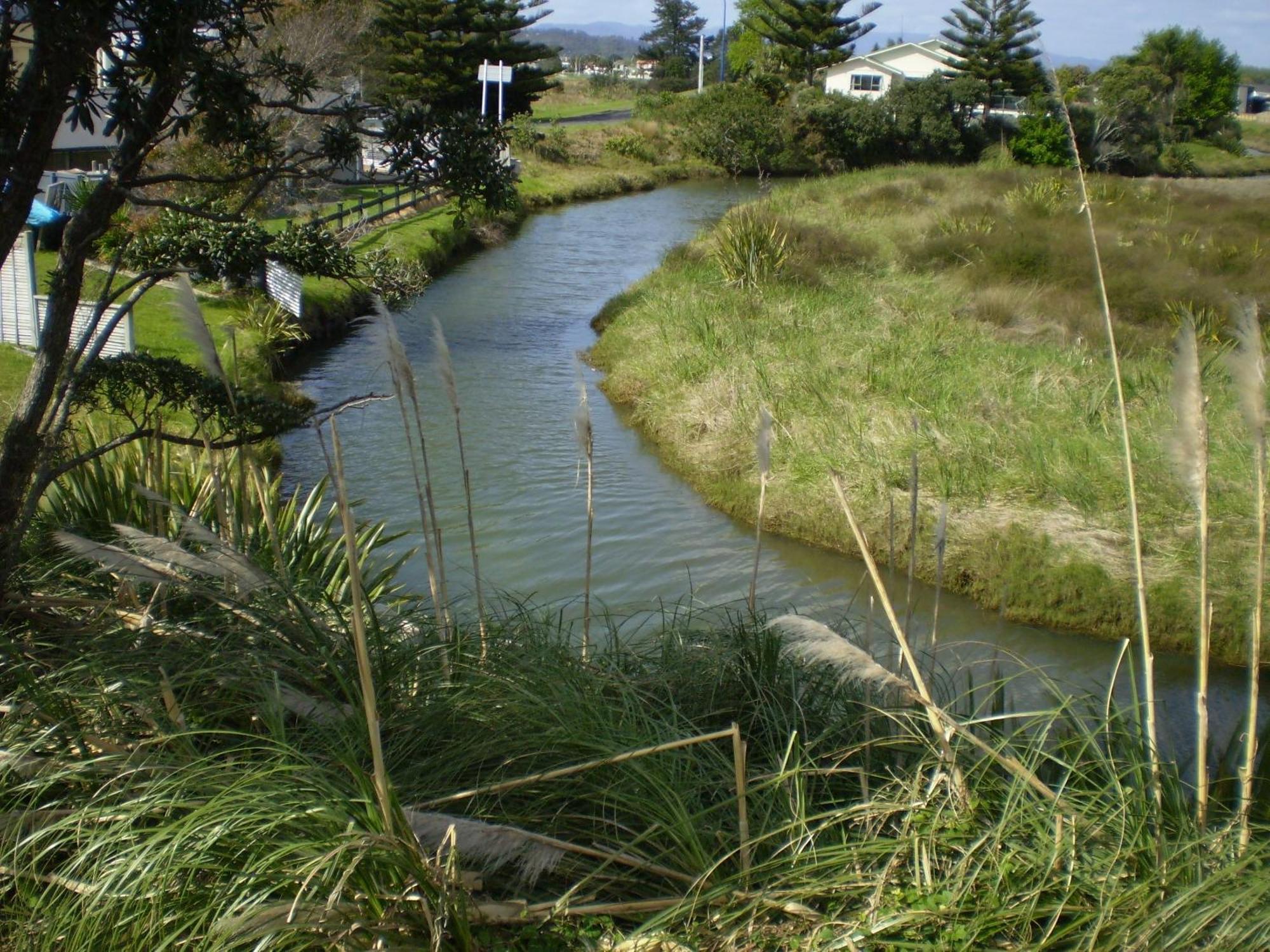 Whitianga Campground Kültér fotó
