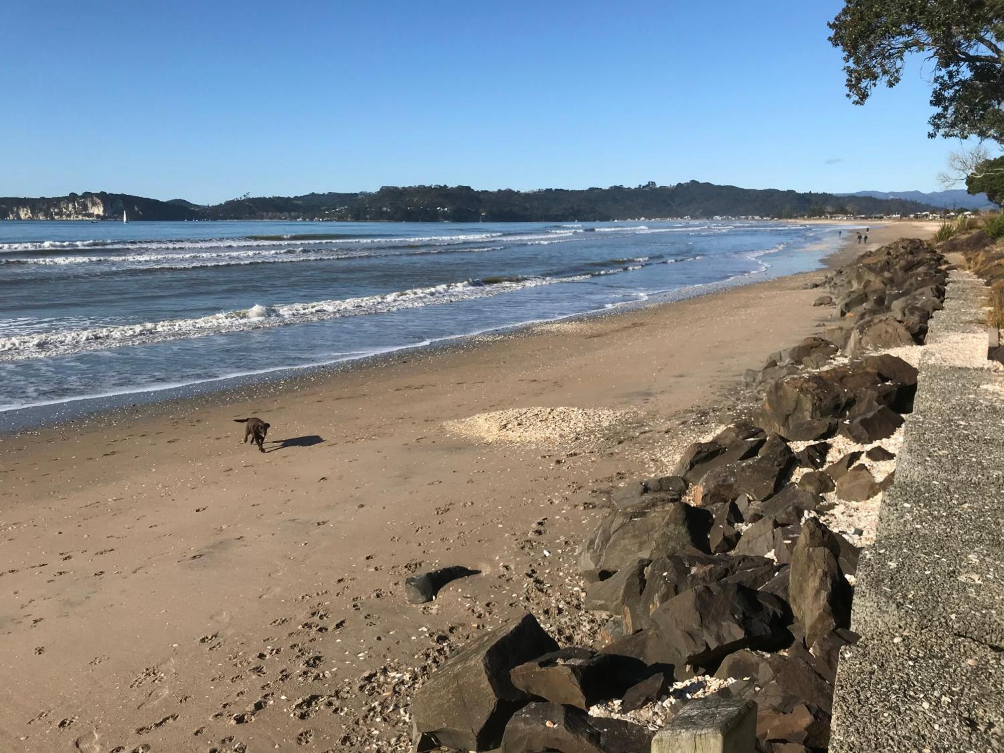 Whitianga Campground Kültér fotó
